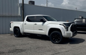 Tundra